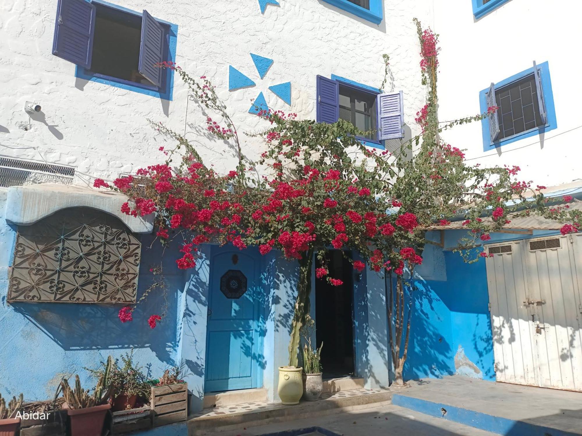 Habibi Hostel Taghazout Exteriör bild
